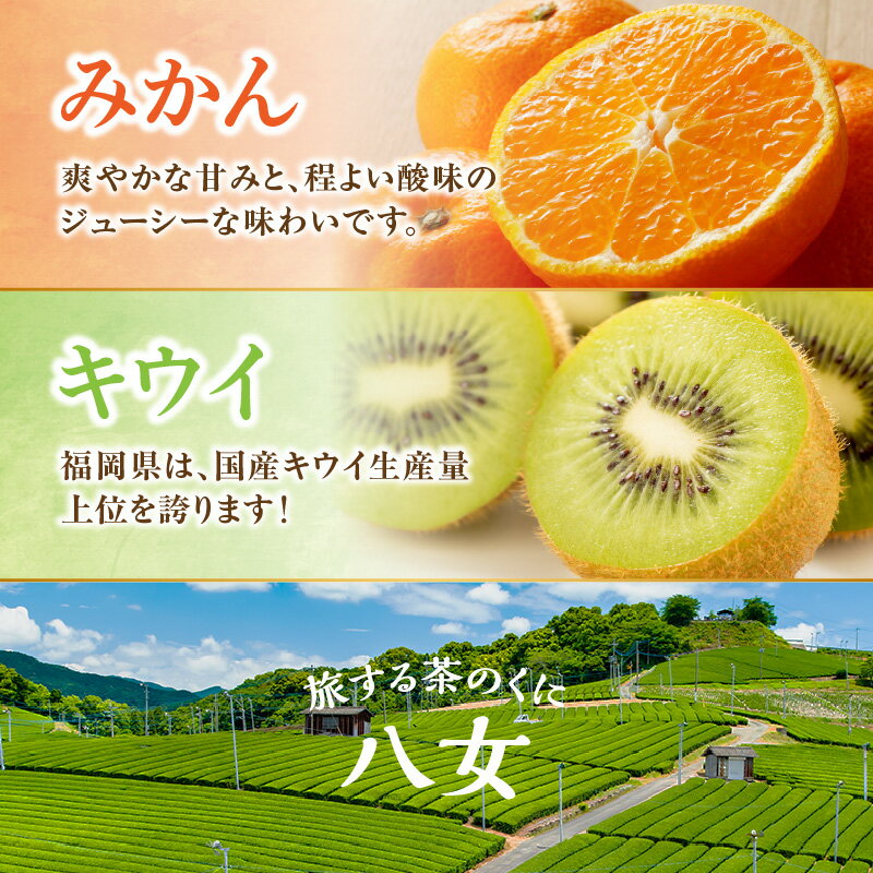 【ふるさと納税】九州・福岡からお届け！八女の恵み定期便【全5回】 A 米 お米 いちご あまおう 新茶 お茶 茶 日本茶 みかん ミカン 蜜柑 キウイ フルーツ 旬 デザート 産地直送 サムネイル3