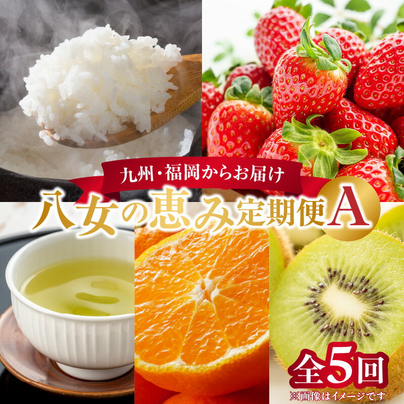 九州・福岡からお届け！八女の恵み定期便【全5回】 A 米 お米 いちご あまおう 新茶 お茶 茶 日本茶 みかん ミカン 蜜柑 キウイ フルーツ 旬 デザート 産地直送