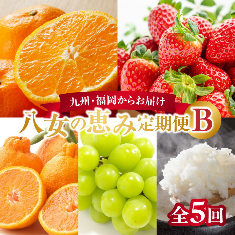九州・福岡からお届け！お楽しみ八女の恵み定期便【全5回】 B みかん あまおう いちご 苺 イチゴ 不知火 デコポン シャインマスカット お米 米 新米 産地直送