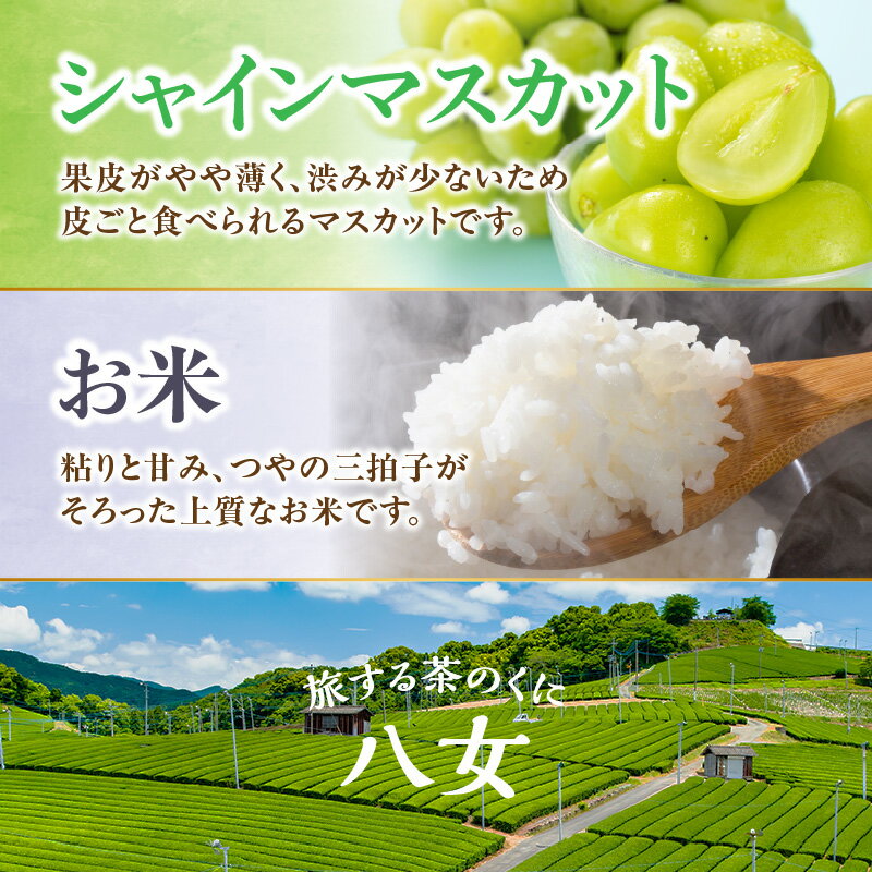 【ふるさと納税】九州・福岡からお届け！お楽しみ八女の恵み定期便【全5回】 B みかん あまおう いちご 苺 イチゴ 不知火 デコポン シャインマスカット お米 米 新米 産地直送 サムネイル3