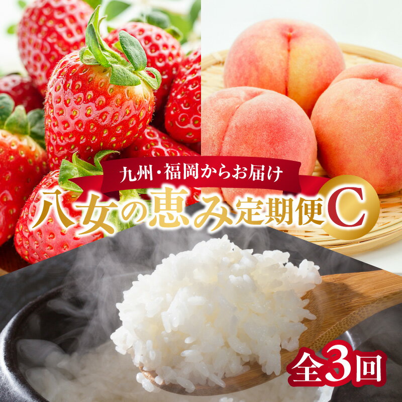 九州・福岡からお届け！八女の恵み定期便【全3回】 C｜＜配送不可：北海道・沖縄・離島＞