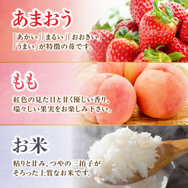 【ふるさと納税】九州・福岡からお届け！八女の恵み定期便【全3回】 C｜＜配送不可：北海道・沖縄・離島＞ サムネイル2