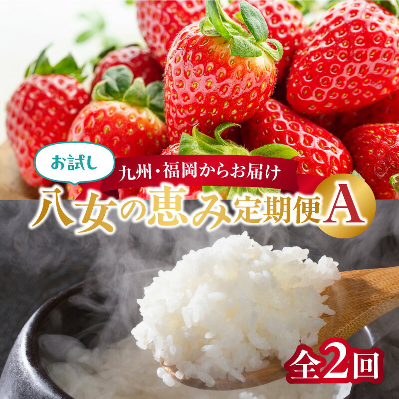 九州・福岡からお届け！八女の恵み定期便お試し【全2回】A