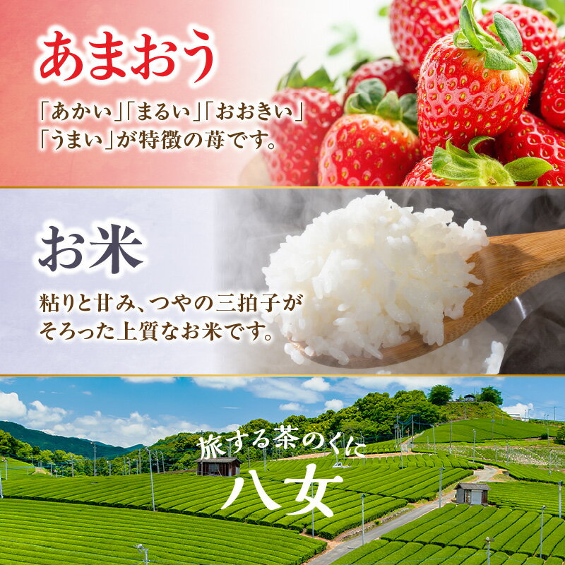 【ふるさと納税】九州・福岡からお届け！八女の恵み定期便お試し【全2回】A サムネイル2