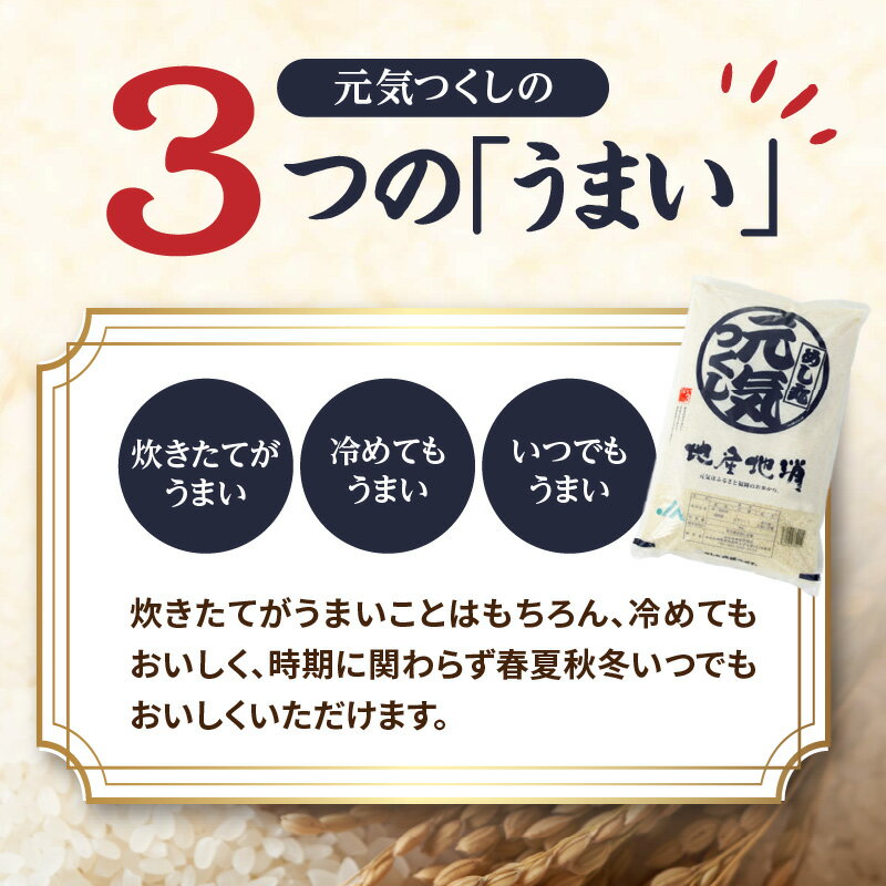 【ふるさと納税】【特A獲得 4年連続 米の食味ランキング】九州・福岡からお届け！ブランド米「元気つくし」 選べる内容量(5kg.10kg) 定期便(3回、6回、10回、12回) お米 米 白米 元気つくし 特A 福岡県 八女市 - 画像3