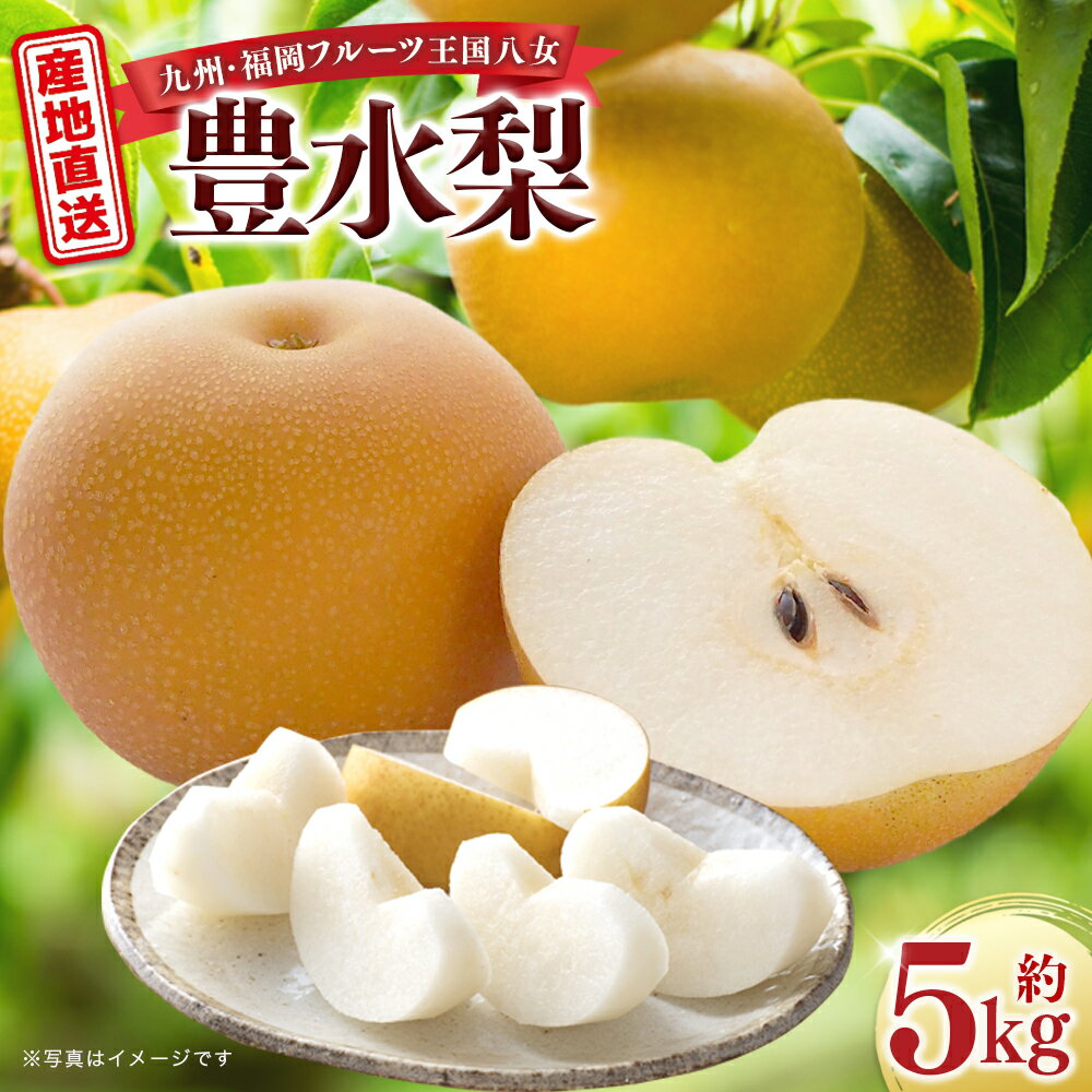 産地直送！ 梨(豊水) 約5kg 【2026年8～9月発送】九州・福岡フルーツ王国八女 ＜配送不可：北海道・沖縄・離島＞ なし ナシ 果物 フルーツ 先行予約 デザート 旬 新鮮 甘い 甘み ジューシー みずみずしい 果汁 国産 季節限定 冷蔵配送 数量限定 秋の味覚