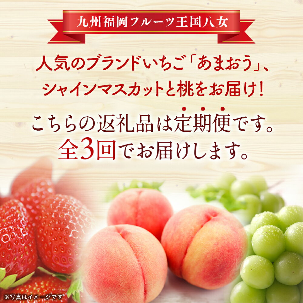 【ふるさと納税】九州・福岡フルーツ王国八女　お楽しみ旬のフルーツ定期便【全3回】 F あまおう 苺 いちご イチゴ シャインマスカット ぶどう もも 桃 モモ 果物 くだもの フルーツ 定期便 デザート 旬 もぎたて 直送 福岡 八女市 サムネイル2