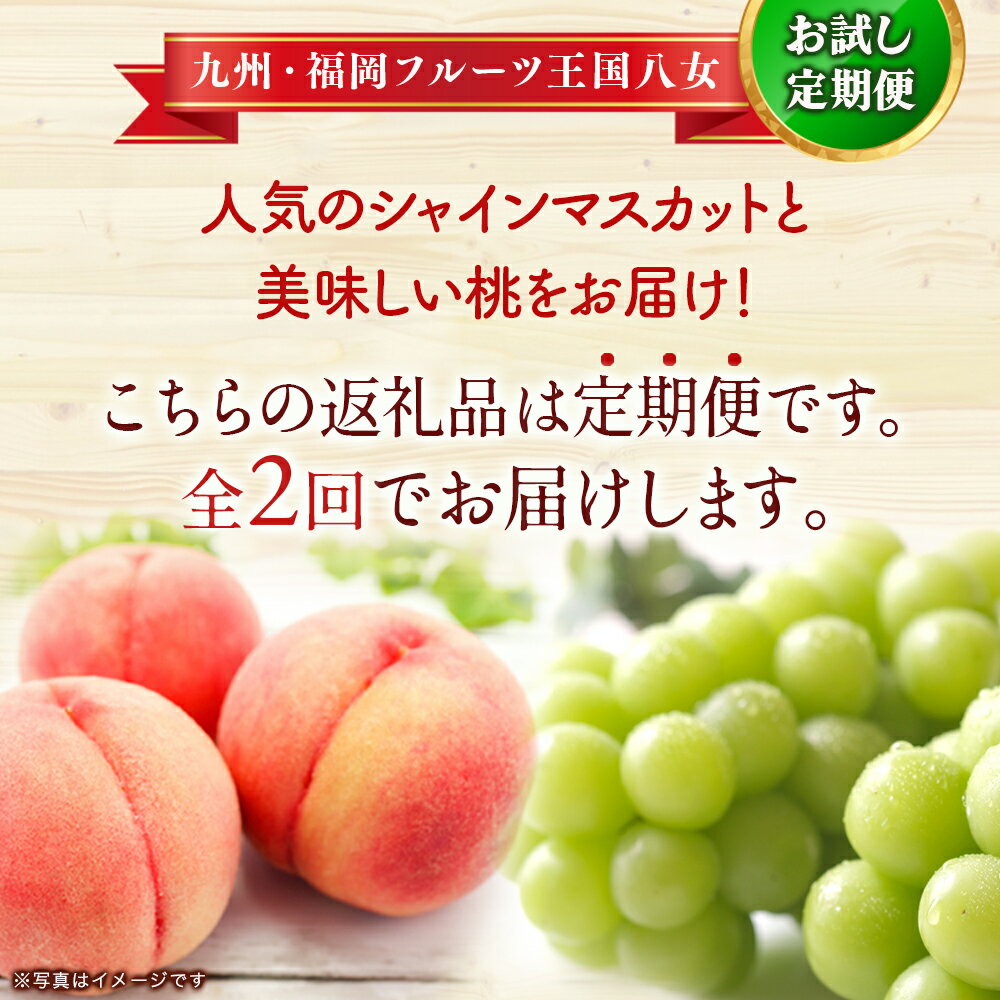 【ふるさと納税】九州・福岡フルーツ王国八女　お試し旬のフルーツ定期便【全2回】 F＜配送不可：北海道・沖縄・離島＞ 桃 シャインマスカット もも 果物 先行予約 旬のフルーツ 詰め合わせ 福岡県 お取り寄せ 八女市 サムネイル2