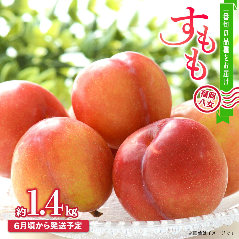 【2026年6月発送予定】九州・福岡フルーツ王国八女から直送！すもも約1.4kg｜＜配送不可：北海道・沖縄・離島＞ 数量限定 直送 1.4kg 旬 時期 すもも スモモ 果物 くだもの フルーツ デザート ジューシー 甘酸っぱい 家族団らん 冷蔵 九州 福岡県 八女市