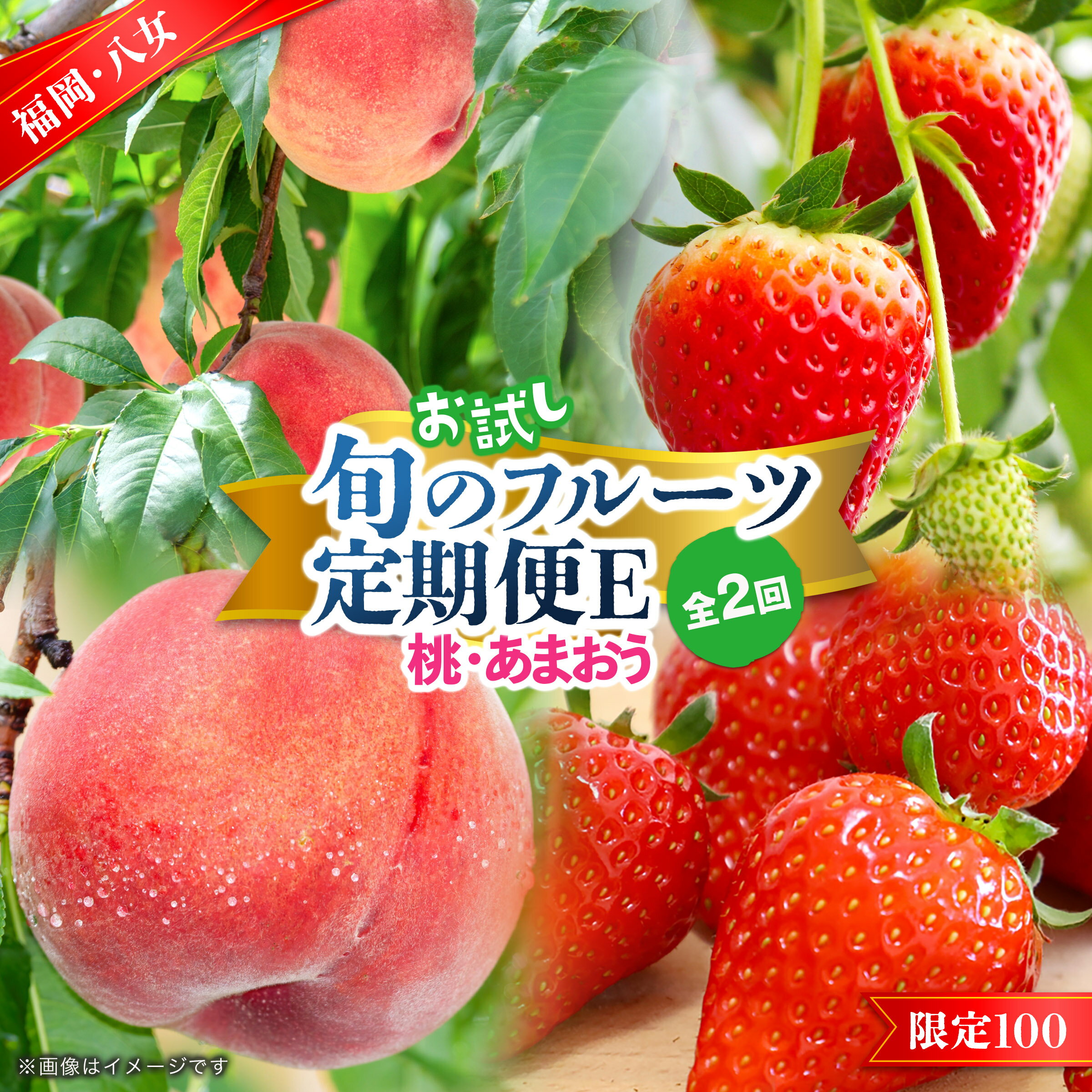 九州・福岡フルーツ王国八女　お試し旬のフルーツ定期便【全2回】 E あまおう いちご 苺 イチゴ もも 桃 果物 フルーツ 旬 もぎたて 定期便