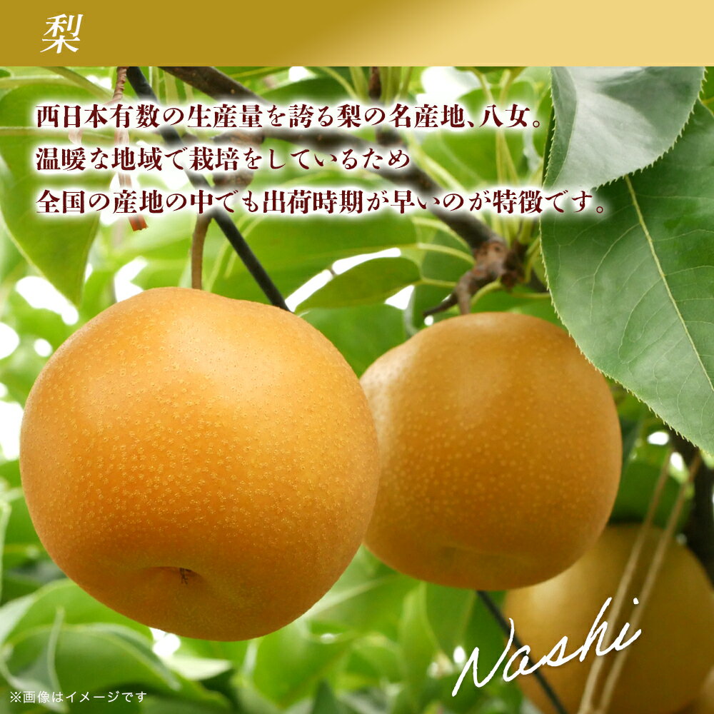 【ふるさと納税】福岡八女　お楽しみ夏のフルーツ定期便D｜＜配送不可：北海道・沖縄・離島＞ 桃 もも ぶどう 梨 なし フルーツ 旬 デザート 定期便 サムネイル3