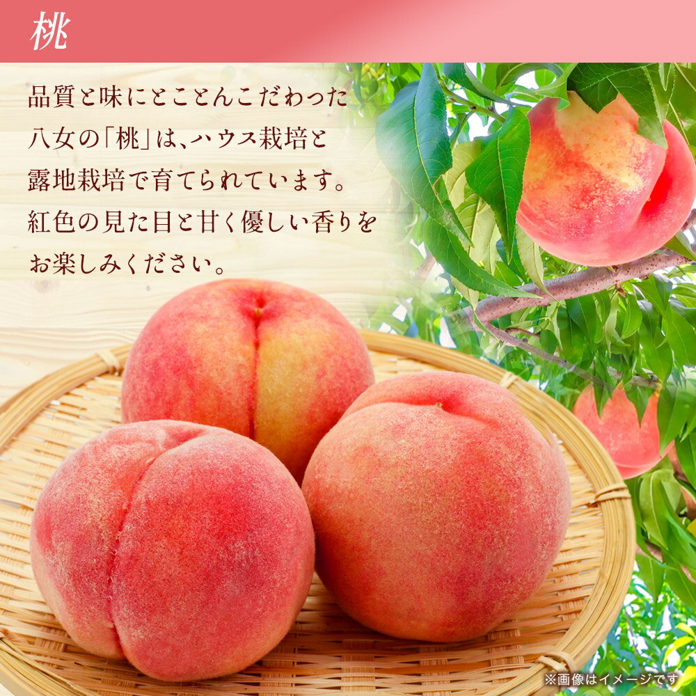 【ふるさと納税】福岡八女　お楽しみ夏のフルーツ定期便D｜＜配送不可：北海道・沖縄・離島＞ 桃 もも ぶどう 梨 なし フルーツ 旬 デザート 定期便 サムネイル2