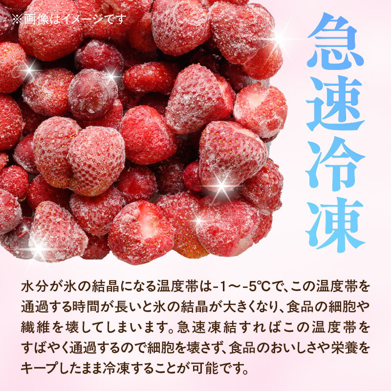 【ふるさと納税】【急速冷凍イチゴ】食べ比べセット★グラニュー糖（なし）★ いちご 苺 イチゴ 冷凍 真空 ジャム スムージー 摘みたて サムネイル3