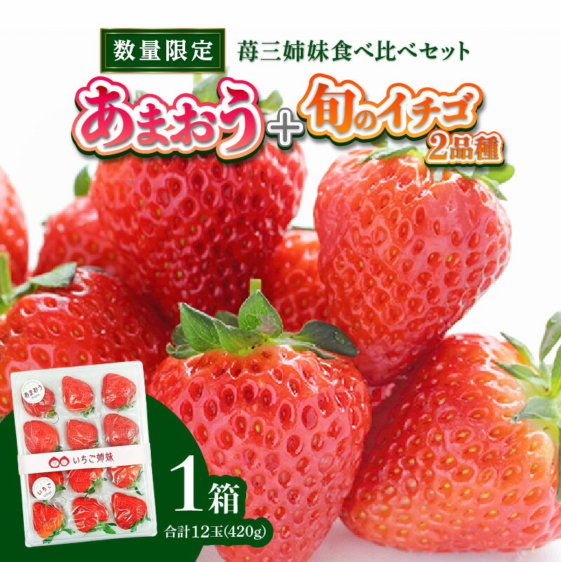 ＜2026年1月〜順次発送＞苺三姉妹【あまおう＋旬のイチゴ2品種】食べ比べセット★数量限定★ あまおう いちご 苺 イチゴ フルーツ 果物 くだもの 人気 旬 福岡県産 食べ比べ 採れたて セット 冷蔵配送 箱入り 贈答品 プレゼント 産地直送 福岡県 八女市