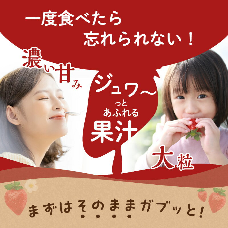 【ふるさと納税】≪先着200名様限定≫ レビューキャンペーン開催中！ 福岡県産あまおう【2026年2〜3月発送開始】【アフター保証】【選べる内容量】（ 270g×2パック・270g×4パック・全3回定期便）あまおう いちご あまおう あまおう苺 いちご イチゴ 苺 サムネイル3