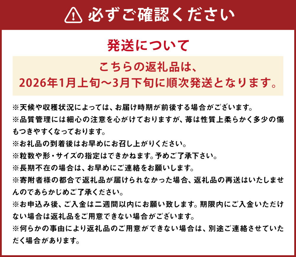【ふるさと納税】特別栽培の濃厚完熟あまおう 約500g/約1kg 選べる内容量 1パック約250g いちご イチゴ 苺 くだもの 果物 フルーツ 福岡県産 九州産 パック 冷蔵 送料無料【2026年1月上旬～3月下旬に順次発送予定】 サムネイル3