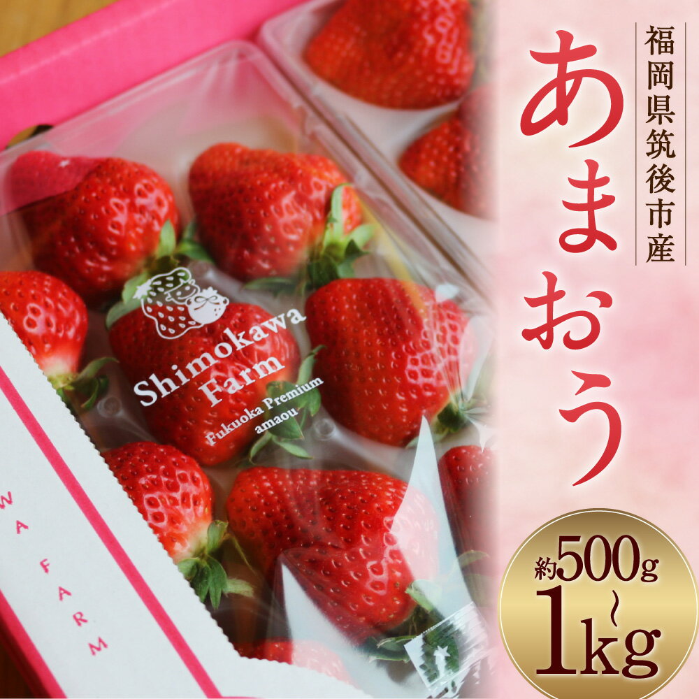 【ふるさと納税】特別栽培の濃厚完熟あまおう 約500g/約1kg 選べる内容量 1パック約250g いちご イチゴ 苺 くだもの 果物 フルーツ 福岡県産 九州産 パック 冷蔵 送料無料【2026年1月上旬～3月下旬に順次発送予定】 サムネイル2