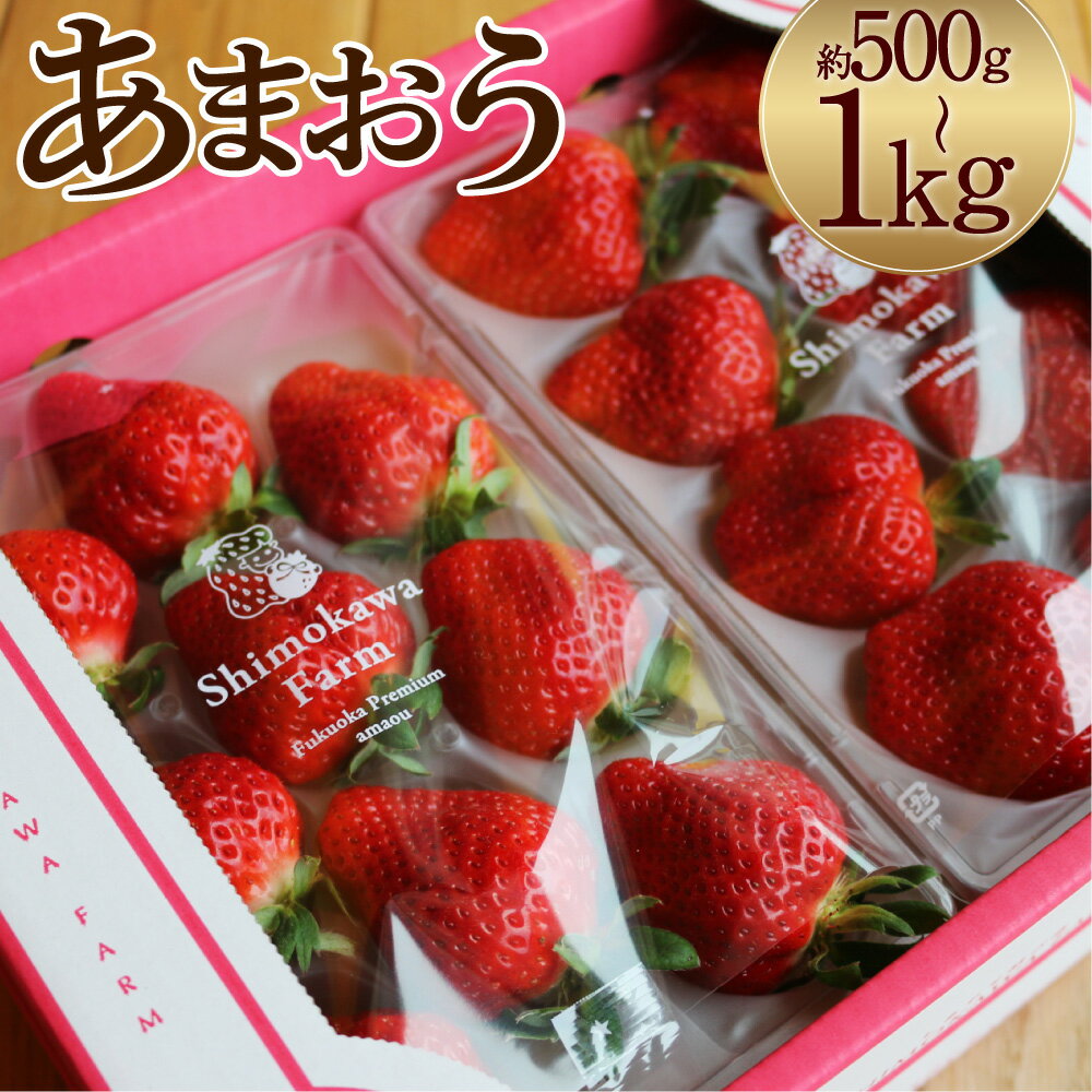 特別栽培の濃厚完熟あまおう 約500g/約1kg 選べる内容量 1パック約250g いちご イチゴ 苺 くだもの 果物 フルーツ 福岡県産 九州産 パック 冷蔵 送料無料【2026年1月上旬～3月下旬に順次発送予定】