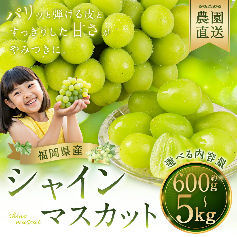 【ふるさと納税】【選べる配送月/内容量】農園直送 シャインマスカット 約1.2kg/約1.8kg/約2.4kg/約5kg 12000円 ～ 45000円 1万2千円 ～ 4万5000円 フルーツ 果物 葡萄 ぶどう 種なし 福岡県産【2026年8月上旬～10月上旬に順次発送予定】 - 画像2