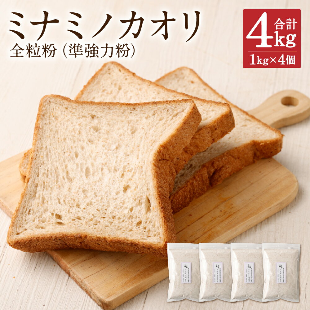 ミナミノカオリ 全粒粉 1kg×4個 合計4kg 粉 準強力粉 パン作り 栽培期間中農薬不使用 九州産 福岡県産 国産 送料無料
