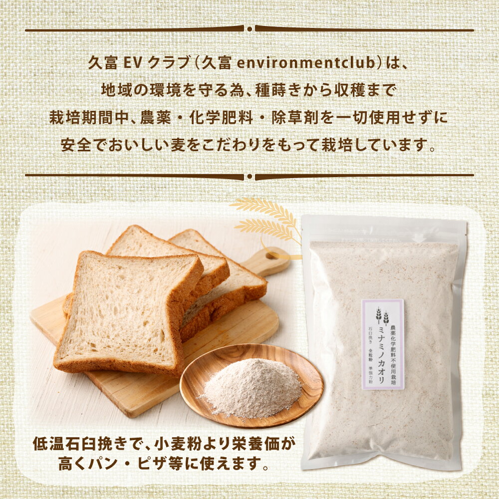 【ふるさと納税】ミナミノカオリ 全粒粉 1kg×4個 合計4kg 粉 準強力粉 パン作り 栽培期間中農薬不使用 九州産 福岡県産 国産 送料無料 サムネイル3