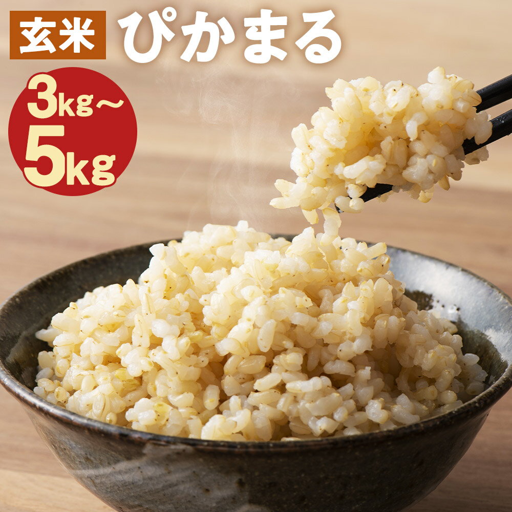 【先行予約】低アミロース米 ぴかまる 玄米 3kg/5kg 選べる内容量 保存袋付き お米 栽培期間中無農薬 九州産 福岡県産 送料無料【2025年11月上旬より順次発送予定】