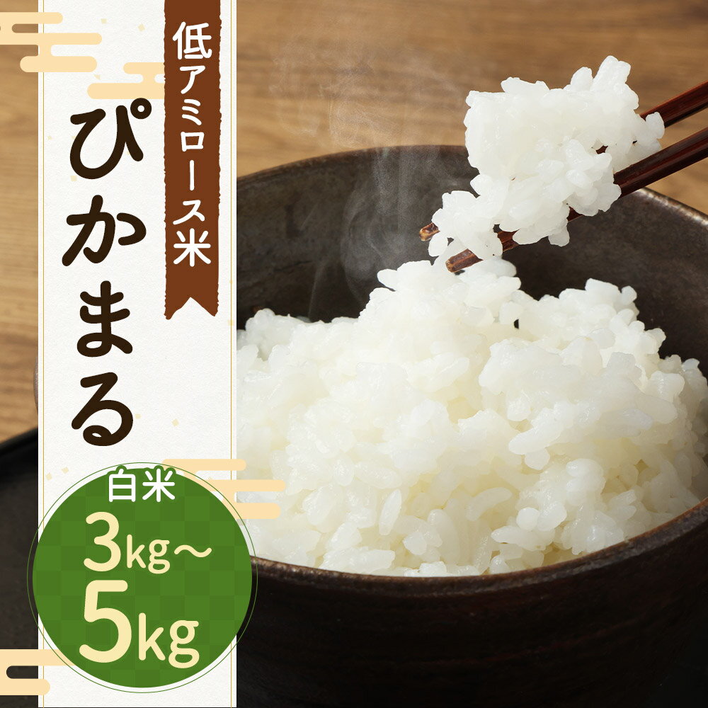 【ふるさと納税】【先行予約】低アミロース米 ぴかまる 白米 3kg/5kg 選べる内容量 保存袋付き お米 精米 栽培期間中無農薬 九州産 福岡県産 送料無料【2025年11月上旬より順次発送予定】 - 画像2