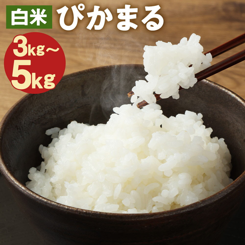 【先行予約】低アミロース米 ぴかまる 白米 3kg/5kg 選べる内容量 保存袋付き お米 精米 栽培期間中無農薬 九州産 福岡県産 送料無料【2025年11月上旬より順次発送予定】