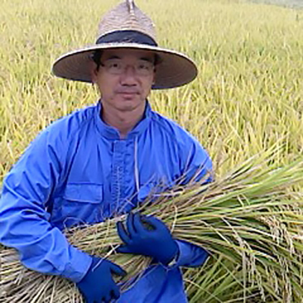 【ふるさと納税】【先行予約】低アミロース米 ぴかまる 白米 3kg/5kg 選べる内容量 保存袋付き お米 精米 栽培期間中無農薬 九州産 福岡県産 送料無料【2025年11月上旬より順次発送予定】 - 画像3
