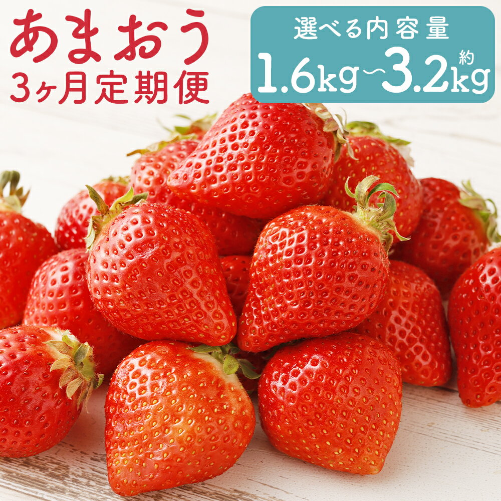 【3回定期便】福岡県産 あまおう 合計約1.6kg/合計約3.2kg 選べる内容量 1パック約270g 3回お届け 果物 フルーツ いちご 苺 福岡県産 九州産 送料無料 【2026年1月上旬～3月下旬迄発送】