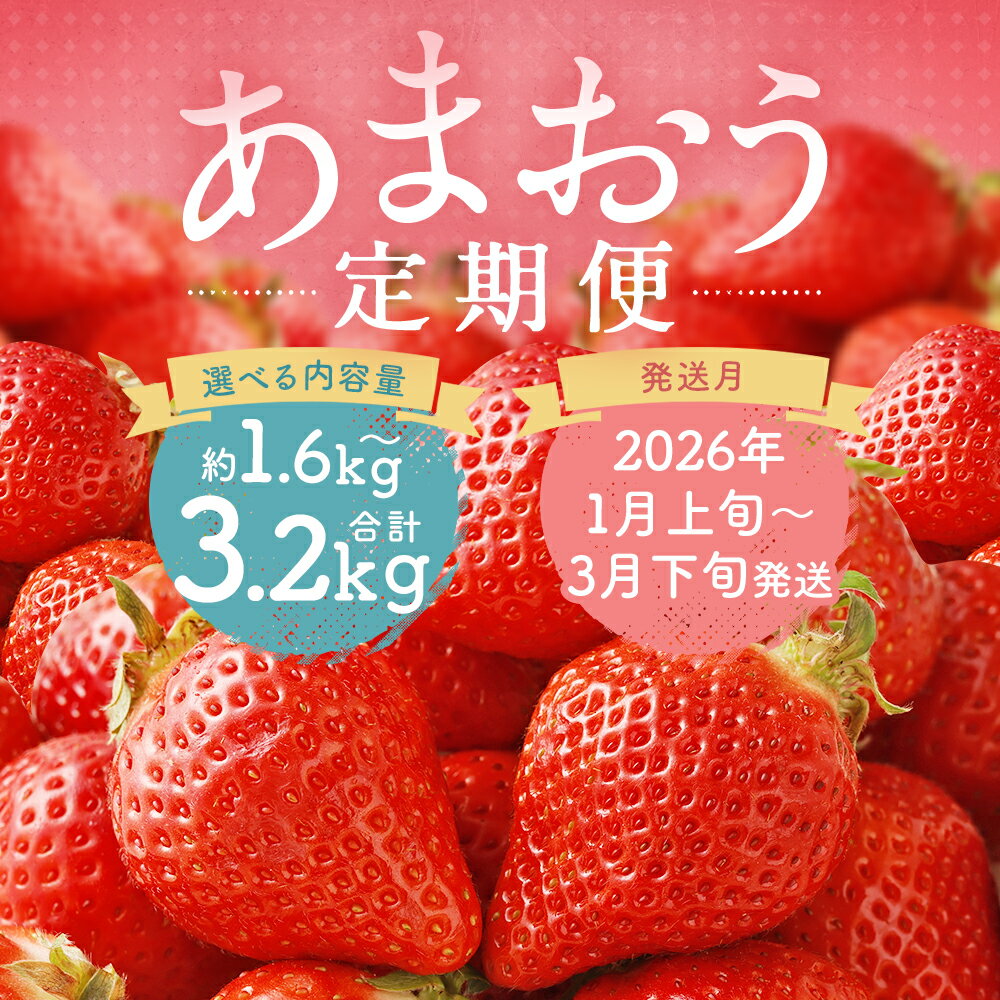 【ふるさと納税】【3回定期便】福岡県産 あまおう 合計約1.6kg/合計約3.2kg 選べる内容量 1パック約270g 3回お届け 果物 フルーツ いちご 苺 福岡県産 九州産 送料無料 【2026年1月上旬～3月下旬迄発送】 サムネイル2