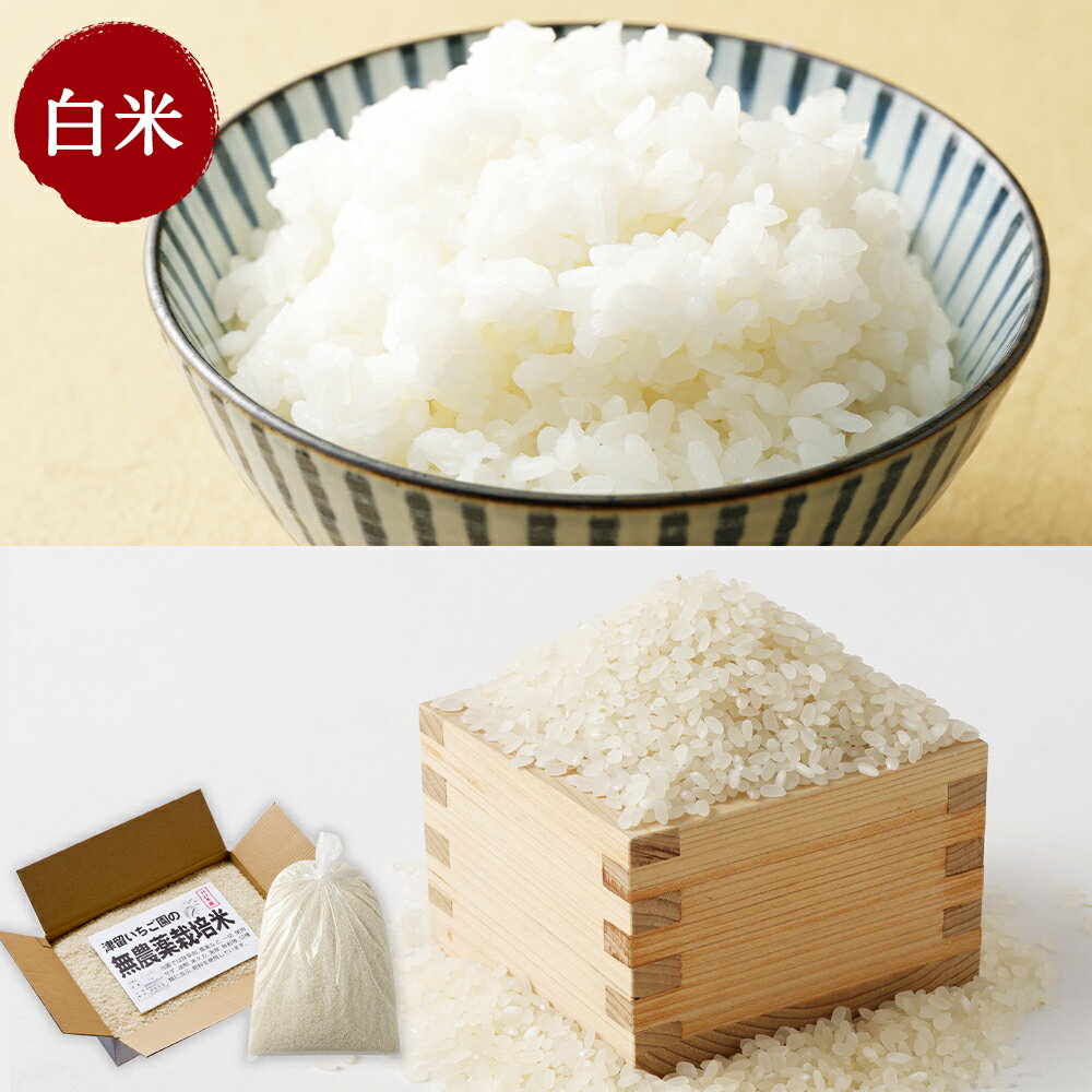 【ふるさと納税】津留いちご園のお米 5kg 白米/7分づき/玄米 選べる精米タイプ 精米 お米 ヒノヒカリ 栽培期間中無農薬 令和7年産 九州産 福岡県産 送料無料 【2025年11月上旬から2026年10月下旬発送予定】 - 画像3