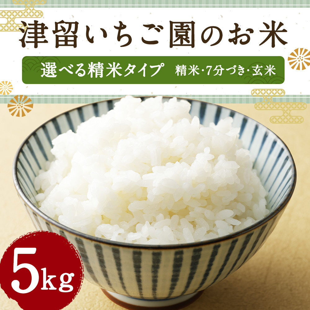 【ふるさと納税】津留いちご園のお米 5kg 白米/7分づき/玄米 選べる精米タイプ 精米 お米 ヒノヒカリ 栽培期間中無農薬 令和7年産 九州産 福岡県産 送料無料 【2025年11月上旬から2026年10月下旬発送予定】 - 画像2