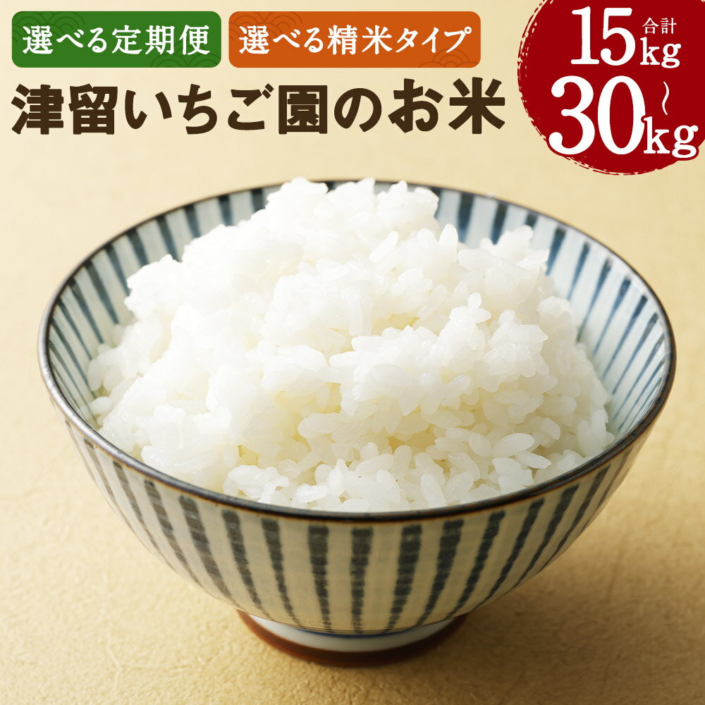 【選べる定期便】津留いちご園のお米 3ヶ月定期便/6ヶ月定期便 白米/7分づき/玄米 選べる精米タイプ 1回につき5kgお届け 定期便 精米 お米 栽培期間中無農薬 九州産 福岡県産 送料無料【2025年11月上旬より発送開始予定】