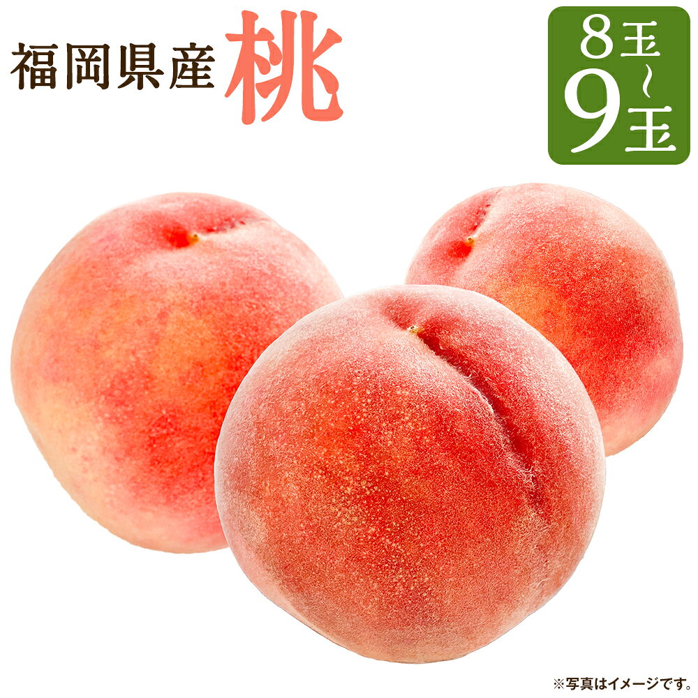 先行予約 福岡県産 桃 8～9玉 産地直送 果物 フルーツ 九州産 冷蔵 JAふくおか 送料無料 【2026年6月上旬～7月下旬に順次発送予定】