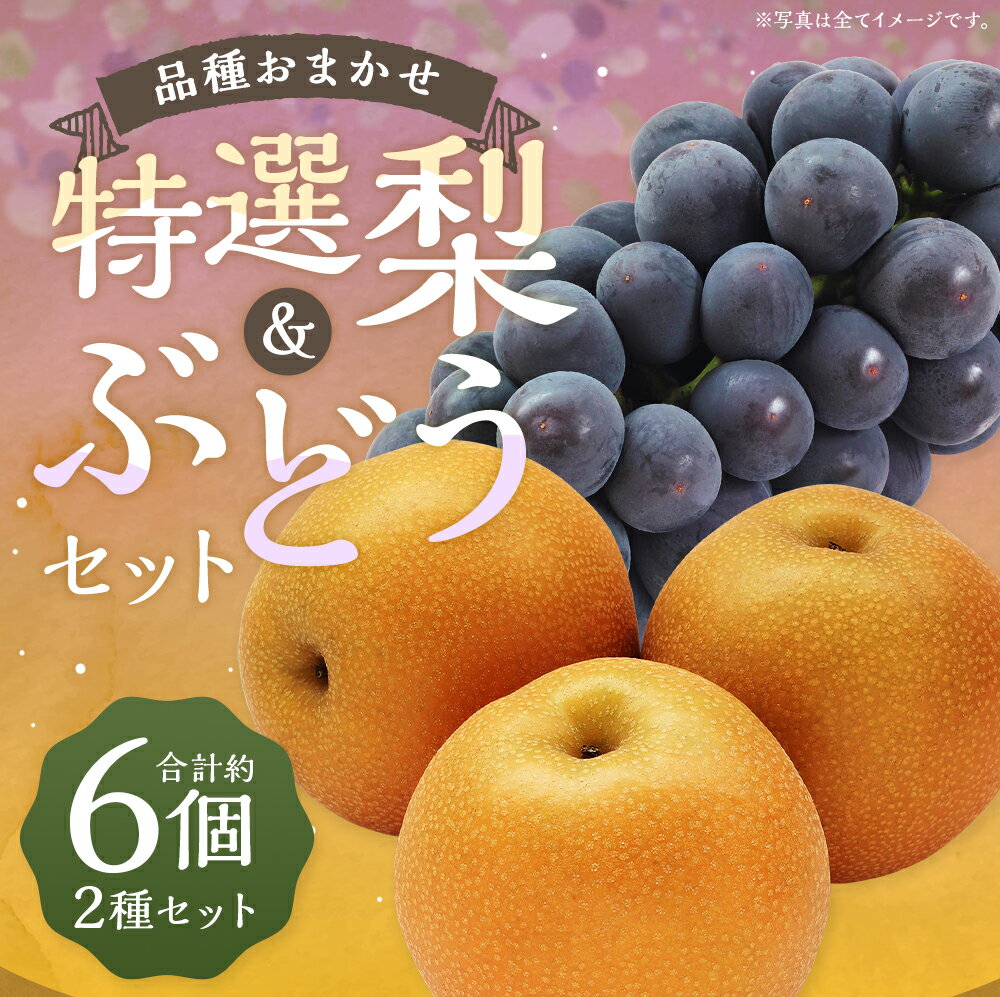 【ふるさと納税】数量限定 よらん野特選梨とぶどうセット 品種おまかせ ぶどう約1kg 梨3玉 果物 フルーツ セット 詰め合わせ ランダム 福岡県産 九州産 送料無料【2026年8月上旬～9月下旬発送】 - 画像2