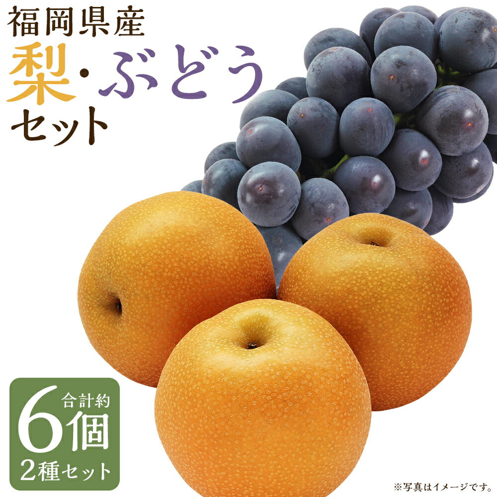 数量限定 よらん野特選梨とぶどうセット 品種おまかせ ぶどう約1kg 梨3玉 果物 フルーツ セット 詰め合わせ ランダム 福岡県産 九州産 送料無料【2026年8月上旬～9月下旬発送】