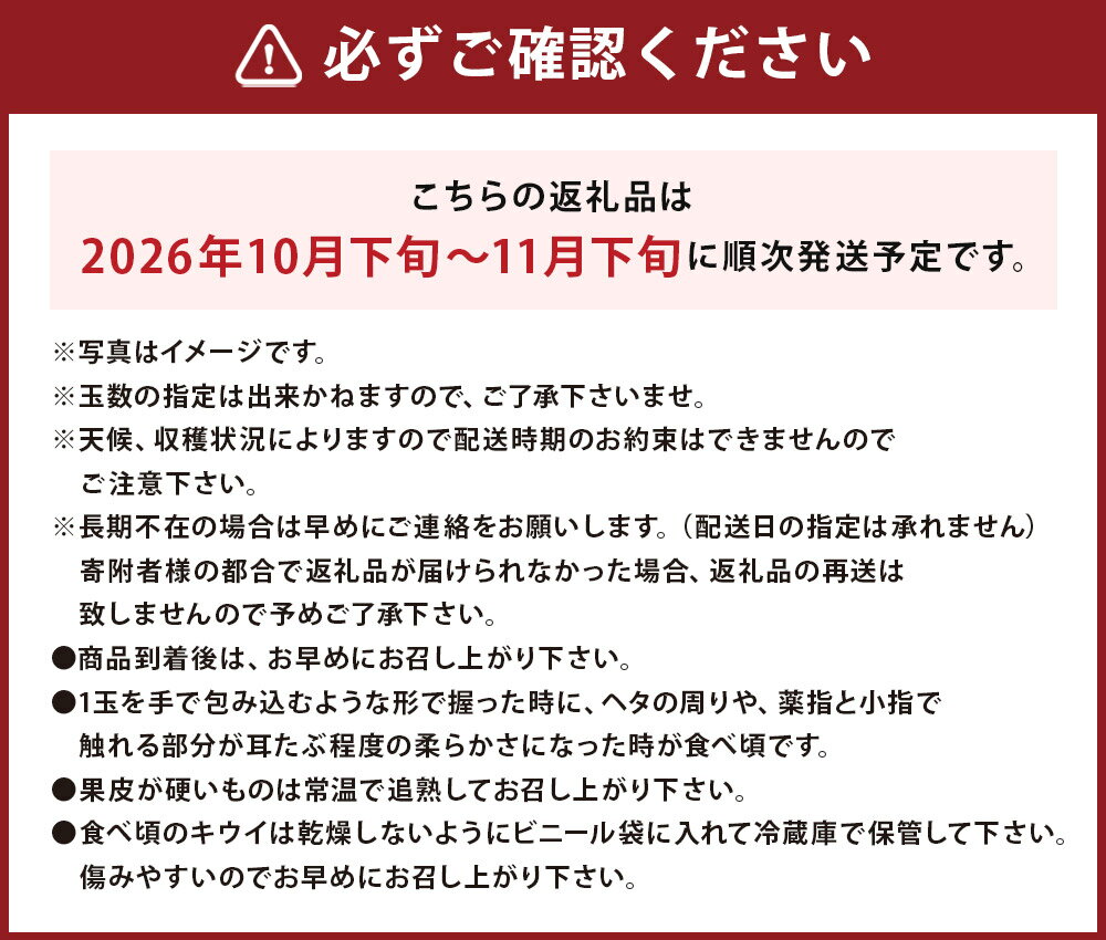 【ふるさと納税】博多甘うぃ 約3.6kg 20〜24玉 キウイ フルーツ 果物 福岡ブランド 福岡県産 九州産 国産 送料無料【2026年10月下旬～11月下旬に順次発送予定】 - 画像3