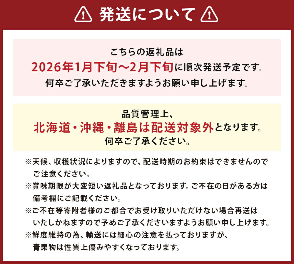 【ふるさと納税】博多 あまおう いちご エクセレント 約450g/約900g 選べる内容量 1パック約450g イチゴ 苺 果物 くだものフルーツ 送料無料【2026年1月下旬～2月下旬に順次発送予定】 サムネイル3