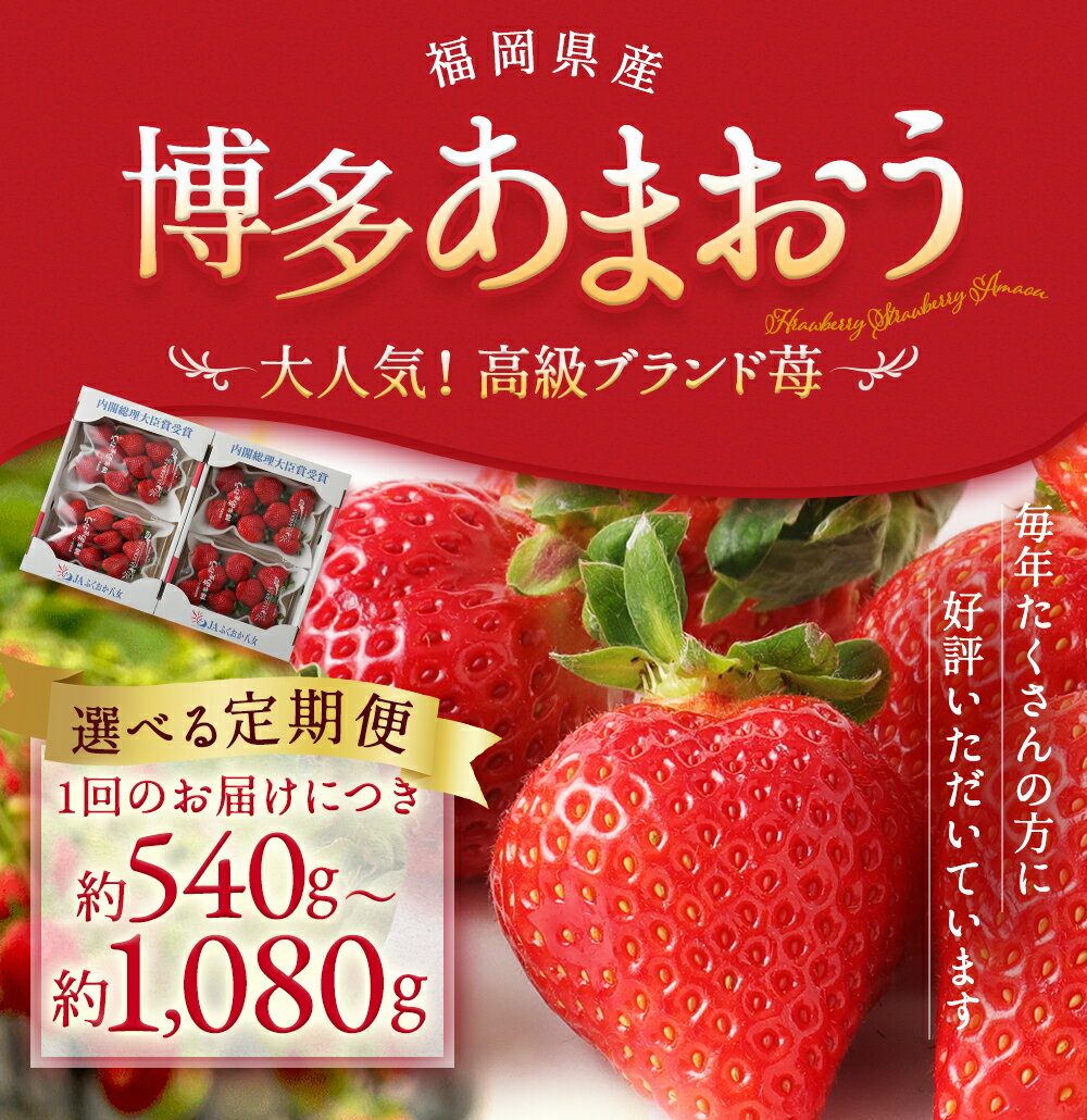 【ふるさと納税】【選べる定期便】いちご あまおう 約540g/約1kg 2回定期便/3回定期便 選べる 内容量 定期便 イチゴ 苺 果物 くだものフルーツ 福岡県産 九州産 送料無料【2026年1月上旬より順次発送予定】 サムネイル2