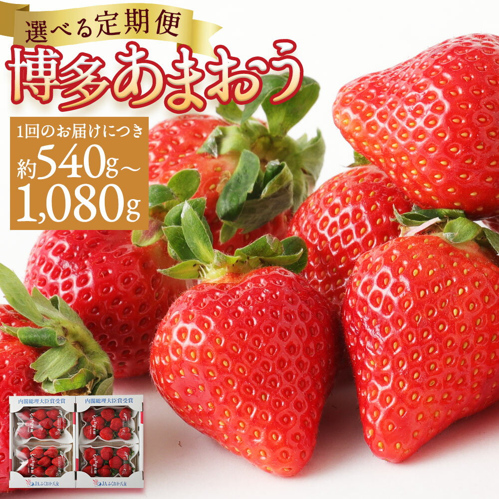 【選べる定期便】いちご あまおう 約540g/約1kg 2回定期便/3回定期便 選べる 内容量 定期便 イチゴ 苺 果物 くだものフルーツ 福岡県産 九州産 送料無料【2026年1月上旬より順次発送予定】