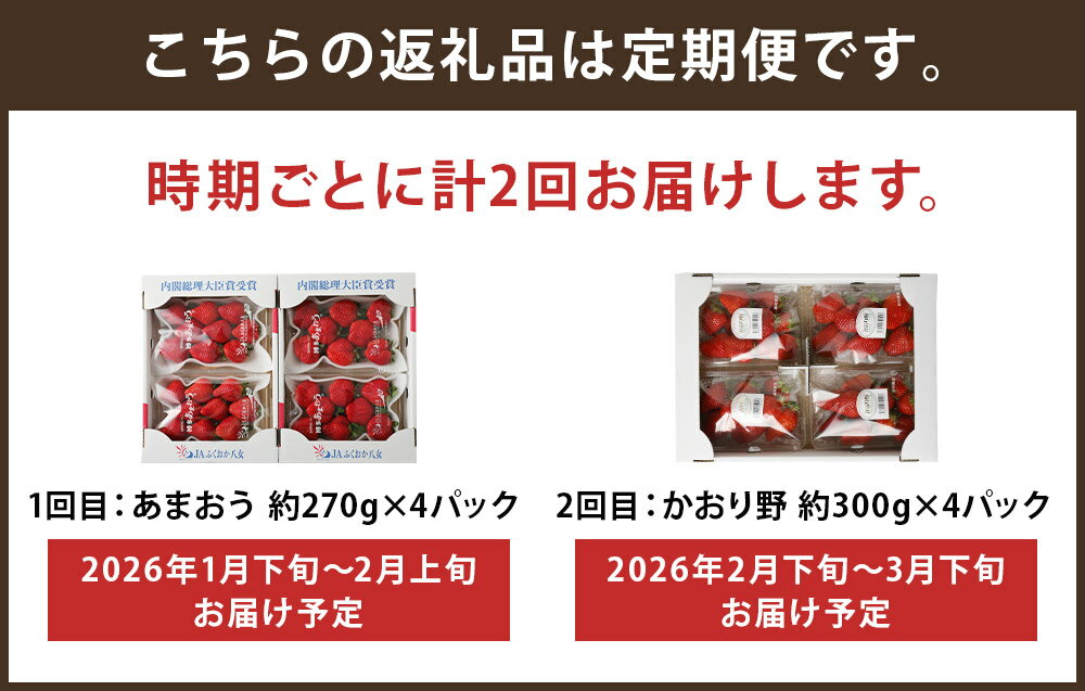 【ふるさと納税】【計2回定期便】数量限定 いちご食べ比べ定期便 あまおう かおり野 2回お届け イチゴ 苺 果物 くだものフルーツ 送料無料【2026年1月下旬より順次発送予定】 サムネイル3