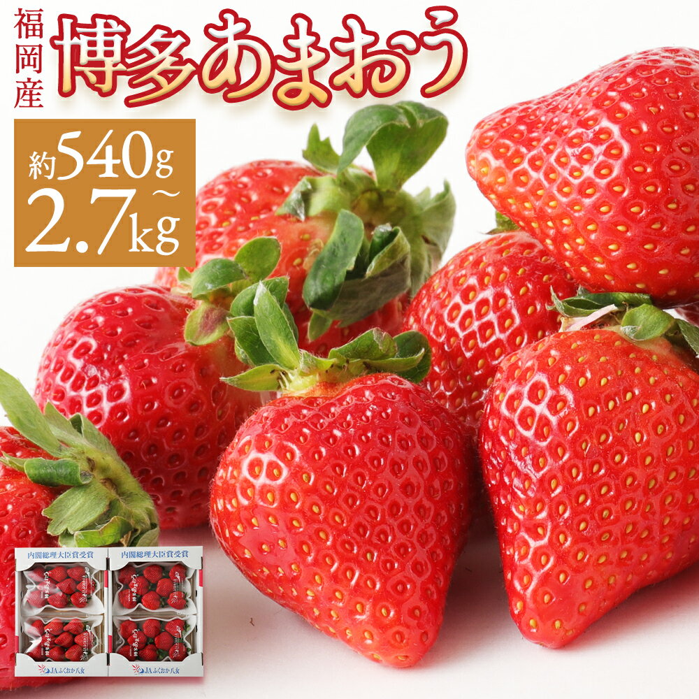 いちご あまおう 1パック約270g 2パック/4パック/6パック/8パック/10パック 約540g/約1kg/約1.62kg/約2.16kg/約2.7kg 9000円 ～ 28000円 9千円 ～ 2万8000円 選べる内容量/発送月 イチゴ 果物 福岡県産【2025年12月上旬～2026年3月下旬に順次発送予定】