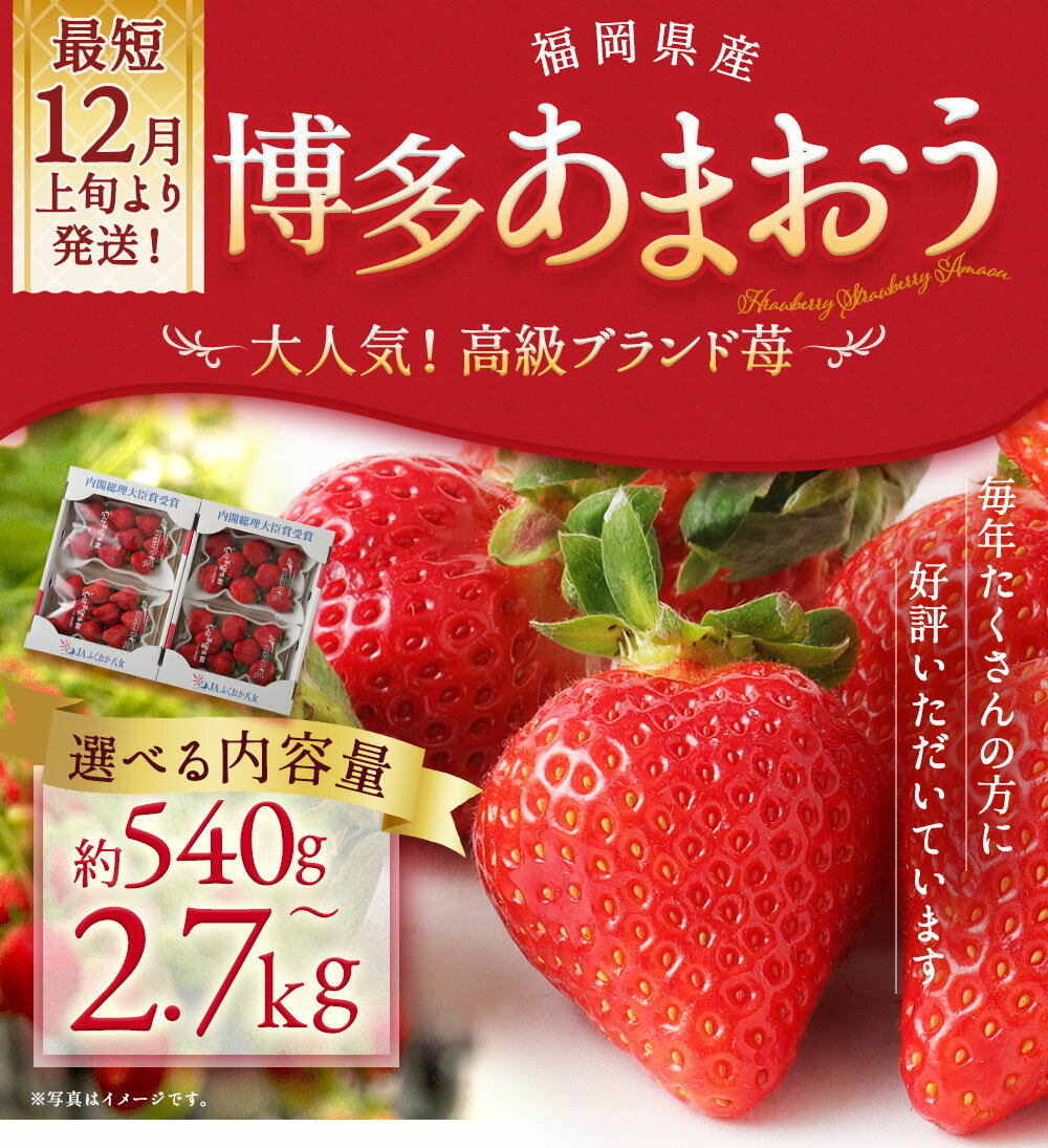 【ふるさと納税】いちご あまおう 1パック約270g 2パック/4パック/6パック/8パック/10パック 約540g/約1kg/約1.62kg/約2.16kg/約2.7kg 9000円 ～ 28000円 9千円 ～ 2万8000円 選べる内容量/発送月 イチゴ 果物 福岡県産【2025年12月上旬～2026年3月下旬に順次発送予定】 サムネイル2
