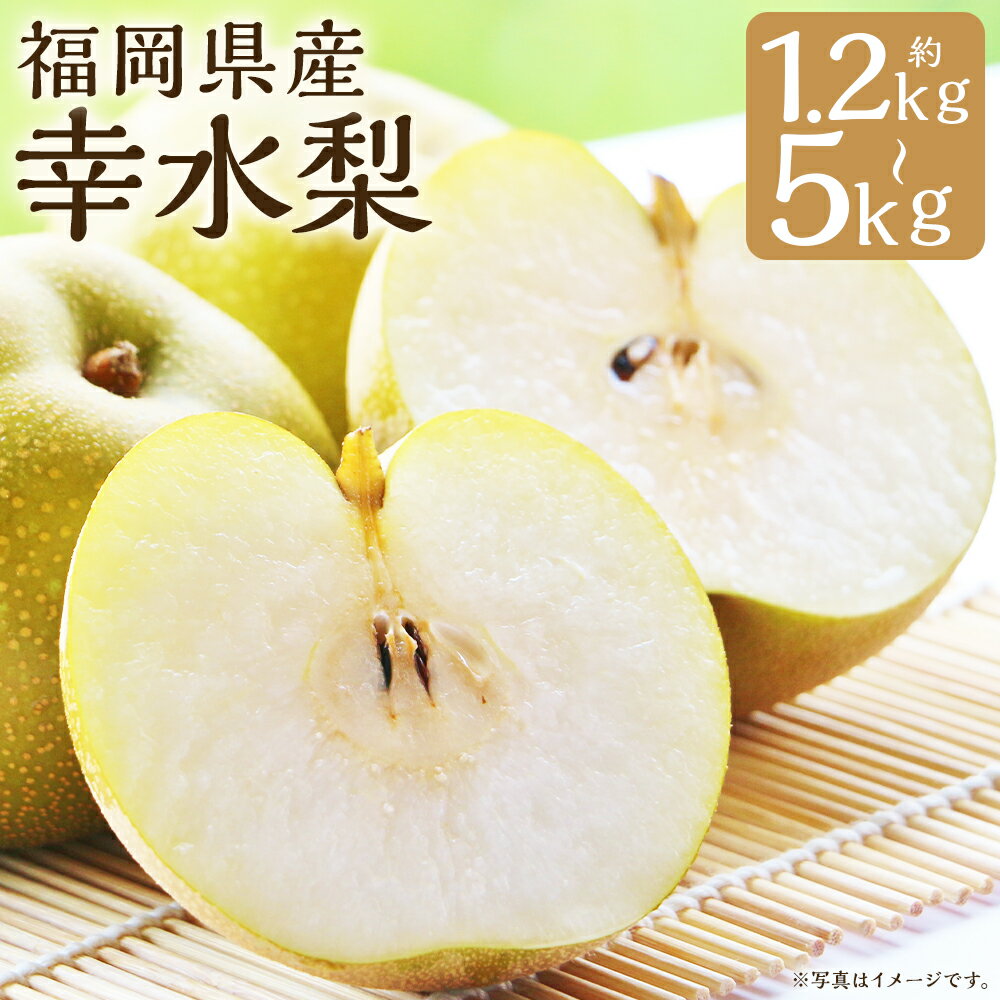 幸水梨 約1.2kg～1.5kg/約3kg/約5kg 選べる内容量 梨 幸水 筑後市産 福岡県産 九州 和梨 フルーツ 果物 送料無料 【2026年7月下旬から8月下旬に順次発送予定】