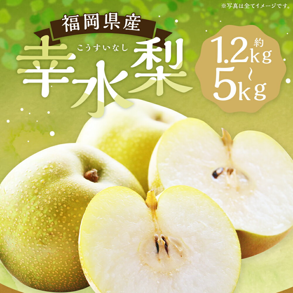 【ふるさと納税】幸水梨 約1.2kg～1.5kg/約3kg/約5kg 選べる内容量 梨 幸水 筑後市産 福岡県産 九州 和梨 フルーツ 果物 送料無料 【2026年7月下旬から8月下旬に順次発送予定】 - 画像2