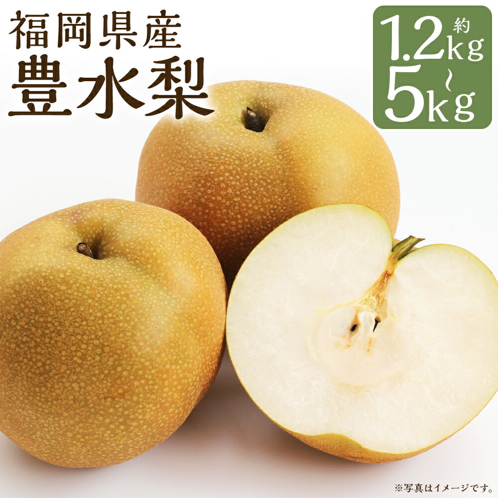 豊水梨 約1.2kg～1.5kg/約3kg/約5kg 選べる内容量 梨 豊水 筑後市産 福岡県産 九州 和梨 フルーツ 果物 送料無料 【2026年8月下旬～9月下旬に順次発送予定】