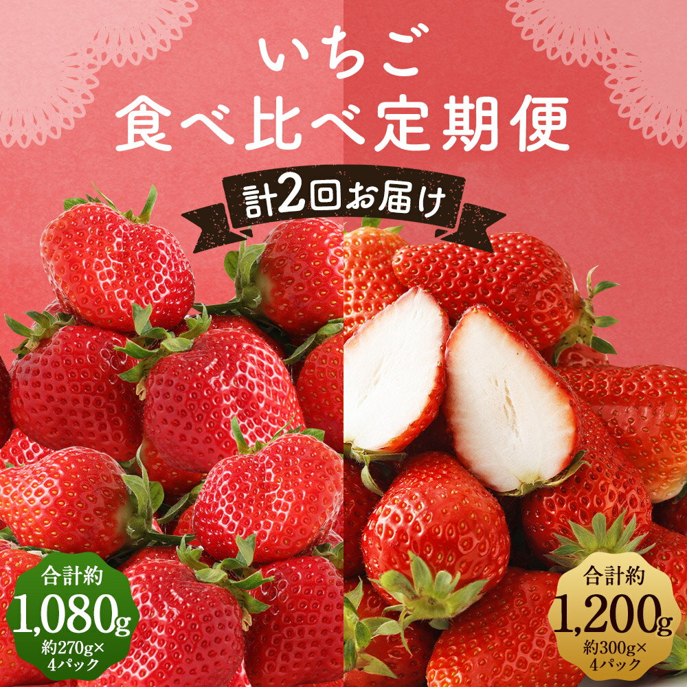 【ふるさと納税】【計2回定期便】数量限定 いちご食べ比べ定期便 あまおう かおり野 2回お届け イチゴ 苺 果物 くだものフルーツ 送料無料【2026年1月下旬より順次発送予定】 サムネイル2