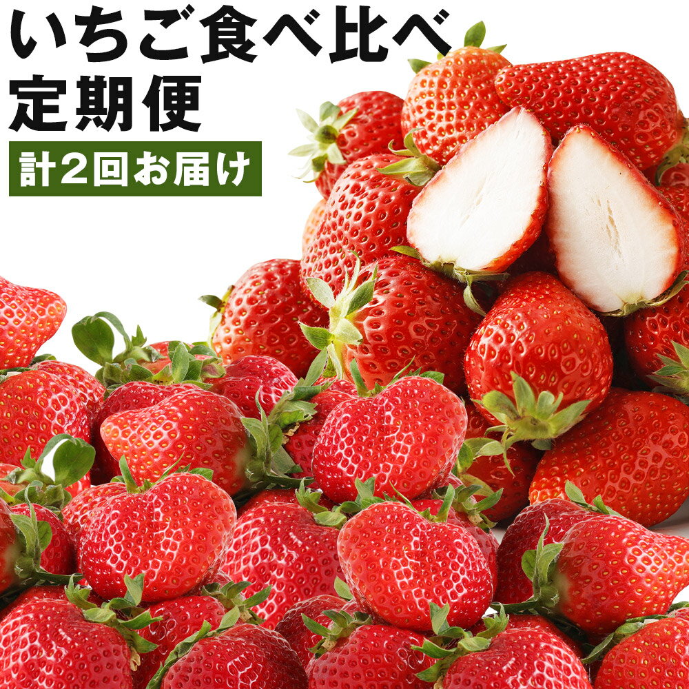 【計2回定期便】数量限定 いちご食べ比べ定期便 あまおう かおり野 2回お届け イチゴ 苺 果物 くだものフルーツ 送料無料【2026年1月下旬より順次発送予定】