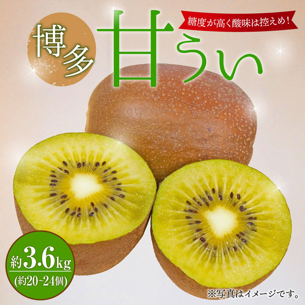 【ふるさと納税】博多甘うぃ 約3.6kg 20〜24玉 キウイ フルーツ 果物 福岡ブランド 福岡県産 九州産 国産 送料無料【2026年10月下旬～11月下旬に順次発送予定】 - 画像2
